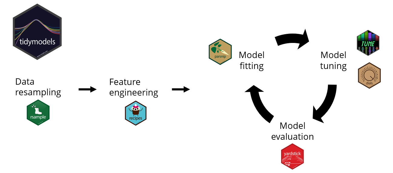 Tidymdoels Eco-system